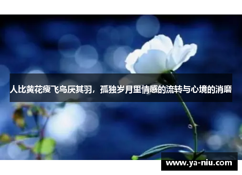 人比黄花瘦飞鸟厌其羽，孤独岁月里情感的流转与心境的消磨