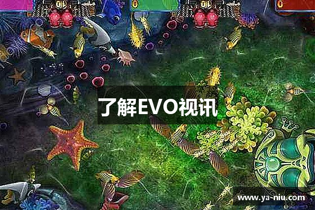 了解EVO视讯